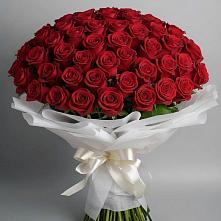 Букет 101 Красная роза Блэк Мэджик в Тайдаково