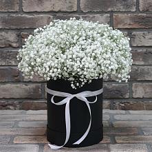 Цветочная композиция из Гипсофила в шляпной коробке в Тайдаково