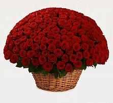 Премиум букет из: Розы в Тайдаково